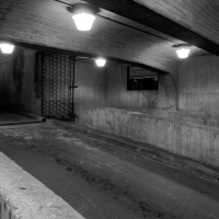 P1011089-BW_web_600px