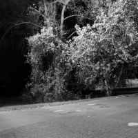 P1012131_BW_web_600px